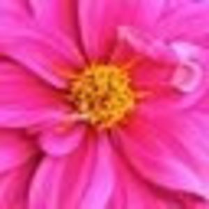 Meet your Posher, Marlon